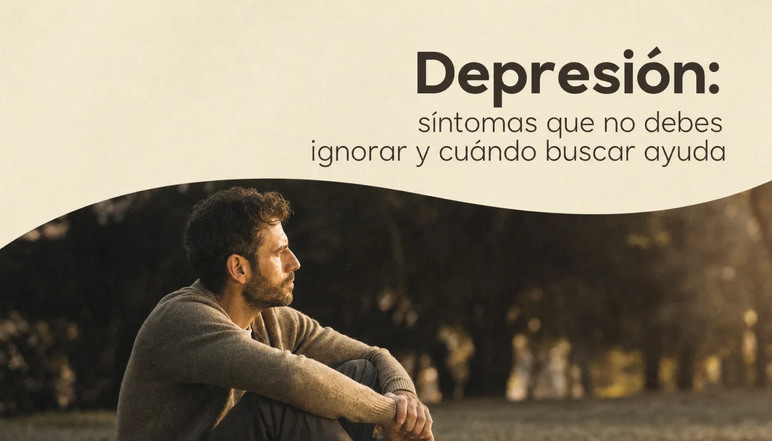 Consultas Psicol&oacute;gicas,Ansiedad Estr&eacute;s Depresi&oacute;n Rupturas,psicolog&iacute;a